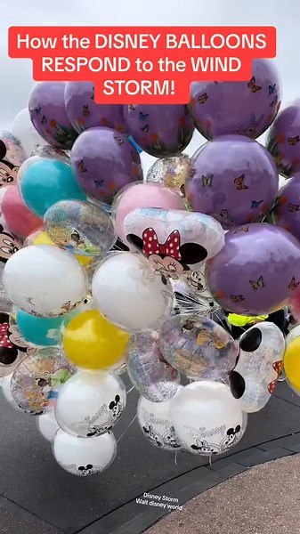 HOW THE BALLOONS RESPOND TO THE WIND STORM AT DISNEY! Walt Disney World Storm at Disney #disney #disneystorm #windstorm #disneywindstorm #trending #distok #hurricane #storm #tropicalstorm #waltdisneyworld