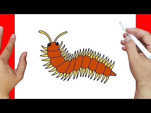 How to Draw a Centipede Step by Step | Easy Drawings