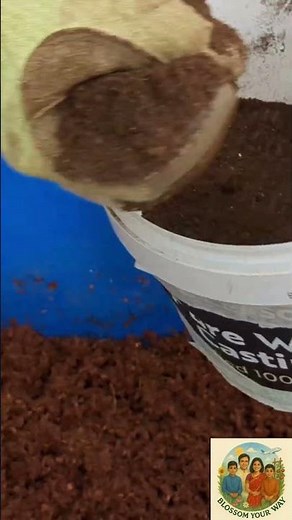 🌱 3 Ingredients for the Perfect Seed Starting Mix