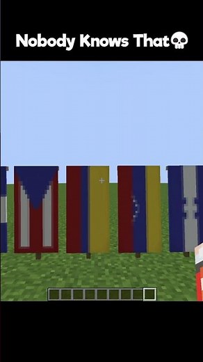 Yakko’s World in Minecraft!!🎤