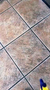 166K views · 485 reactions | The Magic Mist You Didn’t Know You Needed 林✨#stainremover#cleaningtips#spraycleaner#homehacks#cleaningtools | Clean Everything | Facebook