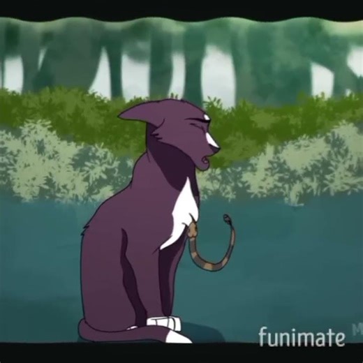First time using funimate! | #warriorcats #ravenpaw #edit