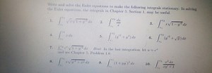 Write and solve the Euler equations to make the following integ... | Filo