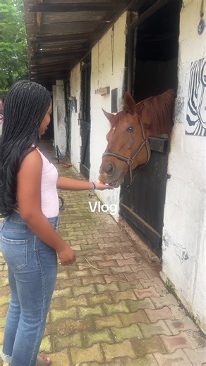 Discovering Horseback Riding Lessons in Zambia