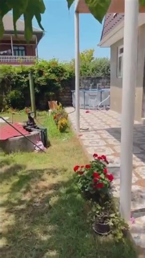 intex Sədərək ticarət mərkəzi şirniyyat bazarı sıra 6 7 Aras mağaza 64