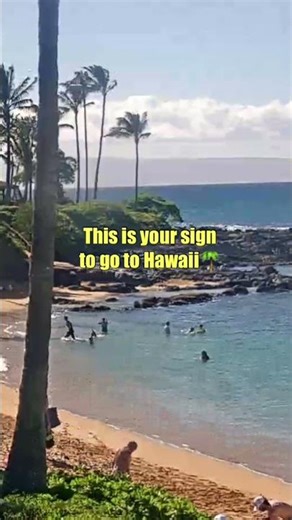 This is your sign to go to Hawaii. Watch FREE Live Streams Here.