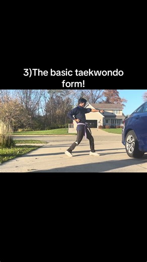 The Basic Taekwondo Forms for Beginners and Advanced. Sam Jang.
