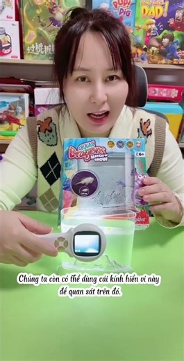 Review of the fun DIY water dragon breeding kit #trending