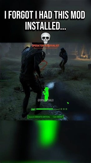 Fallout 4 Mysterious Stranger Mod💀