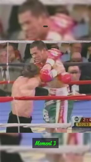 #miketyson #boxingknockouts #boxing #boxinghistory #heavyweightboxing