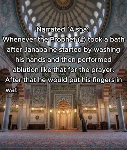 Hadith on ritual impurity janabah, Source Sahih al Bukhari, 248