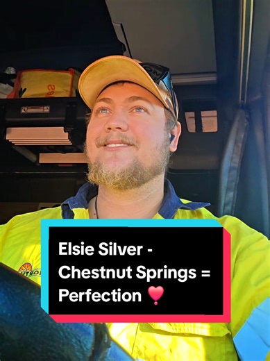 Elsie Silver's Chestnut Springs: Cowboy Romance Bliss