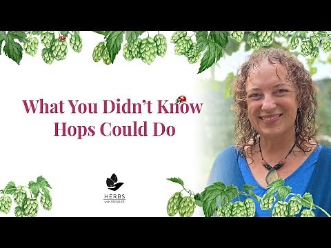 Hops Benefits for Metabolic Health