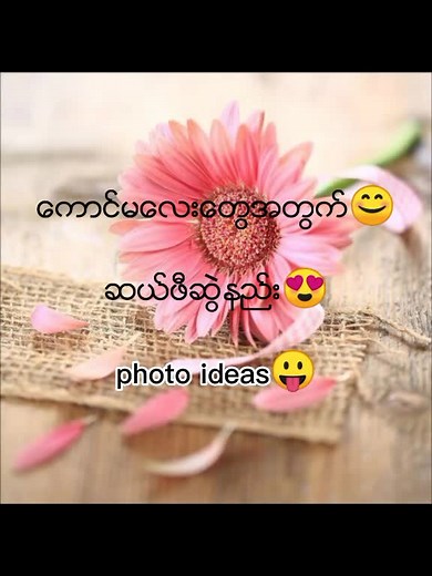 original sound - ☘️ myanmar cele☘️ ပါဝင်သည့် ☘️ myanmar cele☘️ (@myanmarcele26) ၏ ဗီဒီယိုများ