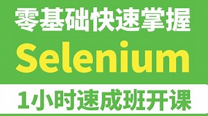 保姆级Selenium自动化测试教程！从安装到实战，1小时速成！