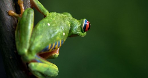 The Nature Conservancy in Mexico