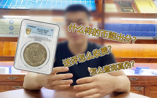 PCGS评级全方位解析，如何送评？有什么等级？