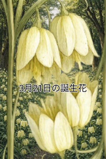 バイモ#shorts #short #誕生花#花言葉#ゆっくり#3月21日#vita