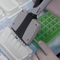 Video: Using Isolated Mitochondria from Minimal Quantities of Mouse Skeletal Muscle for High throughput Microplate Respiratory Measurements