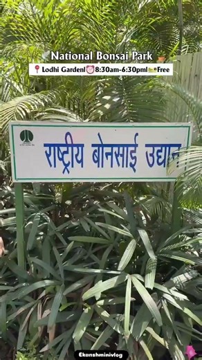 Delhi’s Hidden Mini Japan 😍 | FREE Bonsai Park You MUST Visit! 🌳🇯🇵