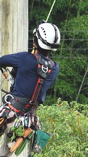 【インフラ高所点検】ロープアクセスによる橋梁点検