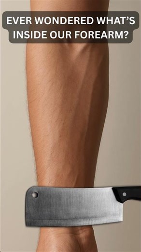 What’s REALLY Inside our Forearm? 💪🔍