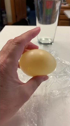 Egg Osmosis and Diffusion Lab part 5