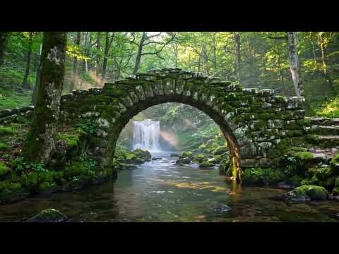 Celtic Nature Soundscapes | Enchanted Oak Meadow & Birdsong for Relaxation, Calm & Peace
