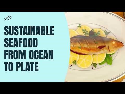 Sustainable seafood from ocean to plate: Choose MSC certified sustainable fish