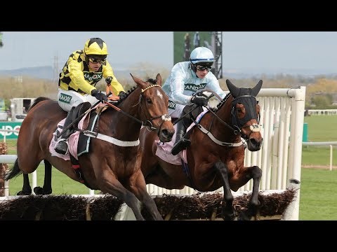 SIR GINO retains unbeaten record with 4-Y-O Hurdle triumph