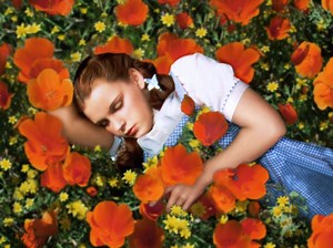 Poppies of Sleep - TV Tropes
