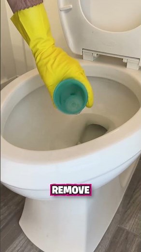 How to Unclog a Toilet with No Plunger 🪠