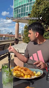 Dr Pigeon and Mr. President John Pork: Friendship in the City