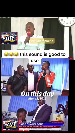 Chameleon Feeding Techniques Explained