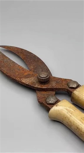 Rust, Bone, and Steel: Watching These Garden Shears Come Back to Life