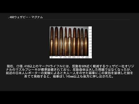 .460ウェザビー・マグナム