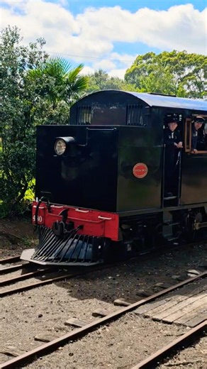 Steam locomotive in Newzealand