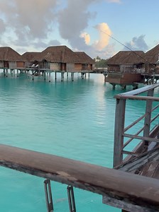 Manny Khoshbin "Never Give Up" | Wrapped up an amazing family getaway 🏝️ Feeling blessed for the much-needed time to recharge 🙏🏻 Highlight of the trip? Spotting a white... | Instagram