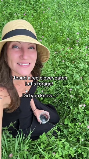 Foraging Red Clover in Wisconsin: Nature's Healing