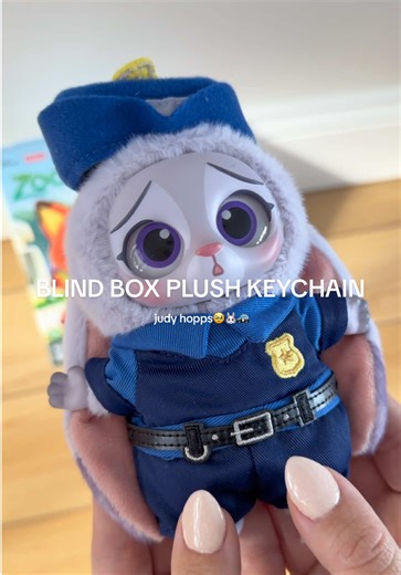 Exciting Blind Box Plush Keychain Unboxing!