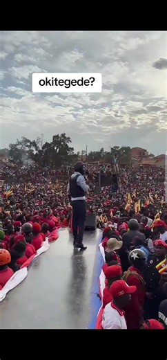 Understanding the Impact of Protest Votes