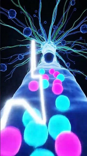 Electric Signals Inside Your Brain — Ultra 3D Neuron Firing Animation