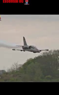 HUGE XXL Aero L-39 Albatros RC Jet | Essential RC