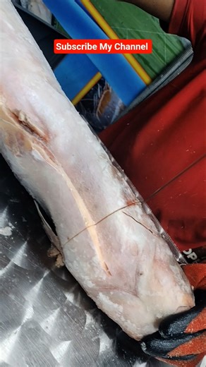 Australia How To Make Fish Cutting Skills#shorts #viralvideos #fishing