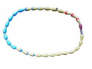 CycleBeads - Alchetron, The Free Social Encyclopedia