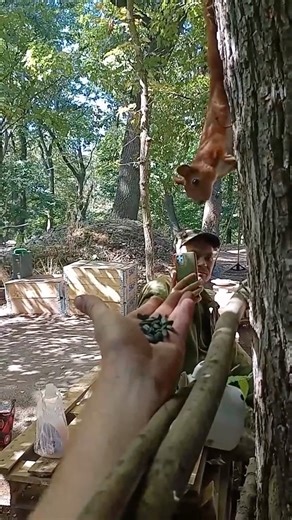 34K views · 3.4K reactions | Breakfast time. | In Ukraine | Facebook