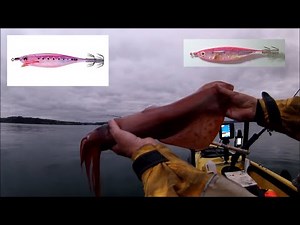 My Most Successful Squid Fishing Rig + Best Squid Jigs and Jig Colours