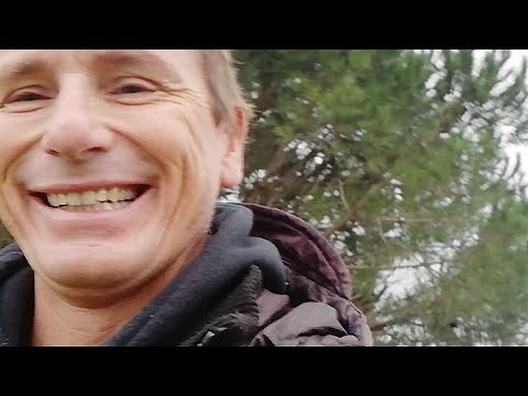 Le Langage Des Chevaux