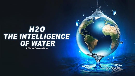 H2O: The Intelligence of Water