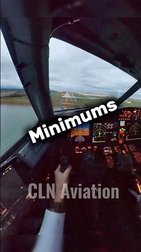 Approaching Minimums 😍 #aviation #callouts #landing #cockpit #loveyou